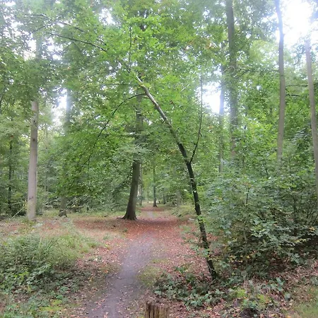 2 Zen Detente Coye-la-Forêt