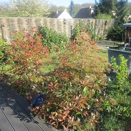 Bed & Breakfast 2 Zen Detente